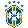 Brazilian Sao Paulo Cup