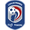 Paraguayan Primera Division