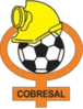 Cobresal Women logo