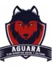 CDSC Aguara